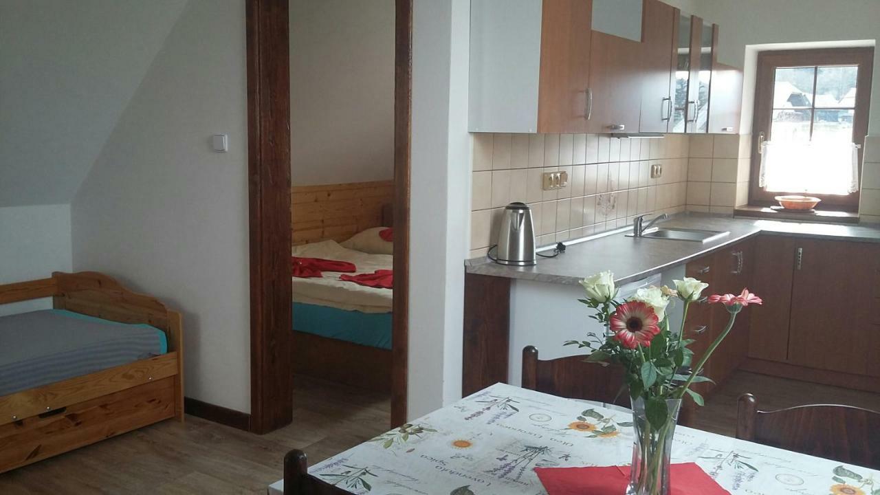 Apartment Nedrik Rokytnice nad Jizerou Exterior foto
